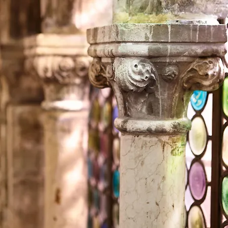 사투르니아&인터내셔널