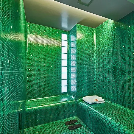 사투르니아&인터내셔널